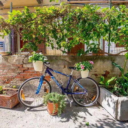 Hortensia House